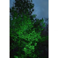 Green Colour Washed Tree - Litecast