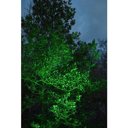 Green Colour Washed Tree - Litecast