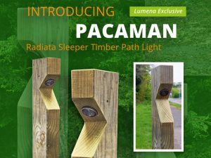 Pacaman Timber Path Lights